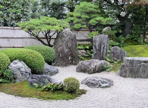 japanische-steingartenpflanzen-10_9-19 Japanische Steingartenpflanzen