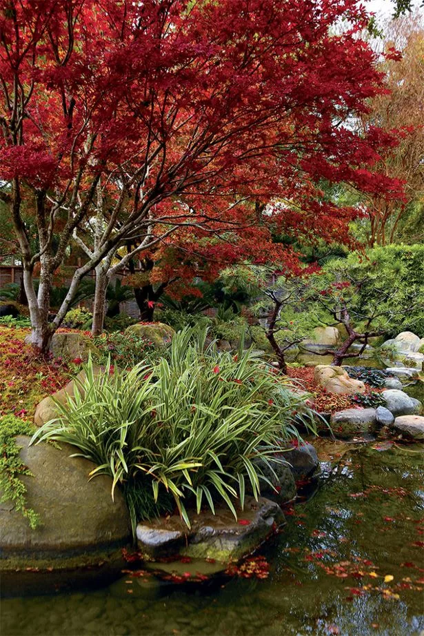 japanischer-garten-anlegen-92_10-3 Japanischer Garten anlegen