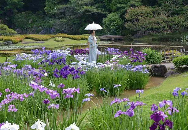 japanischer-garten-bilder-31-1 Japanischer Garten Bilder