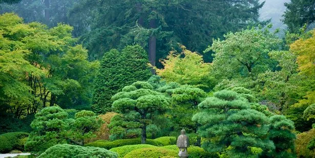 japanischer-garten-bilder-31_12-5 Japanischer Garten Bilder