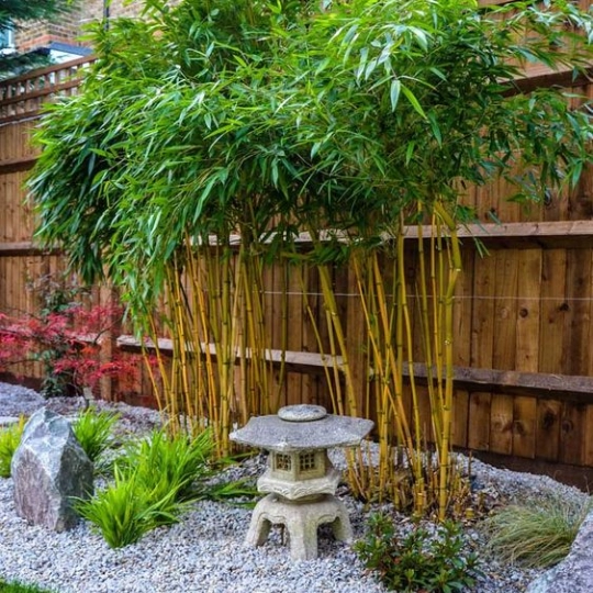 japanischer-garten-fur-kleinen-garten-21-3 Japanischer Garten für kleinen Garten