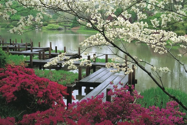 landschaft-japanischer-garten-86_18-9 Landschaft japanischer Garten