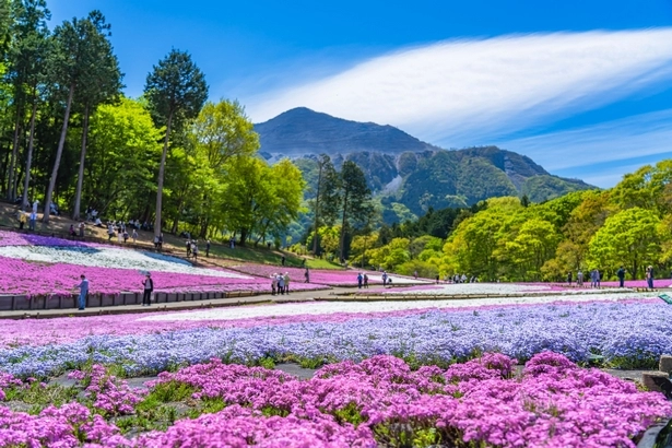 parks-und-garten-in-japan-84-1 Parks und Gärten in Japan
