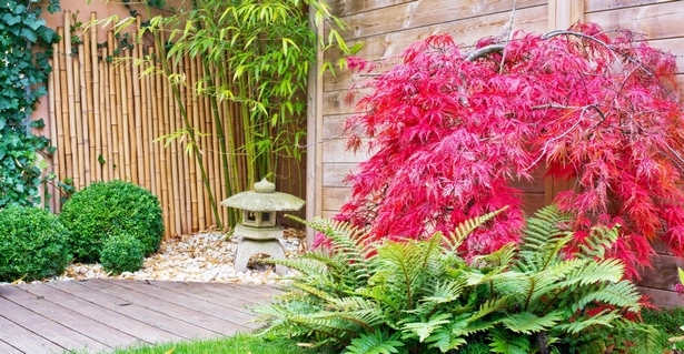 pflanzen-fur-den-garten-im-japanischen-stil-67-2 Pflanzen für den Garten im japanischen Stil