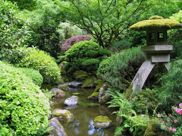 pflanzen-fur-die-japanische-gartengestaltung-26_18-10 Pflanzen für die japanische Gartengestaltung