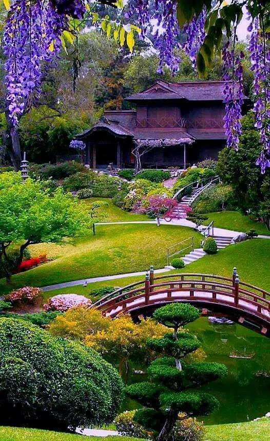 schoner-japanischer-garten-96_10-3 Schöner japanischer Garten