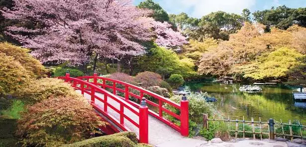 schoner-japanischer-garten-96_11-4 Schöner japanischer Garten