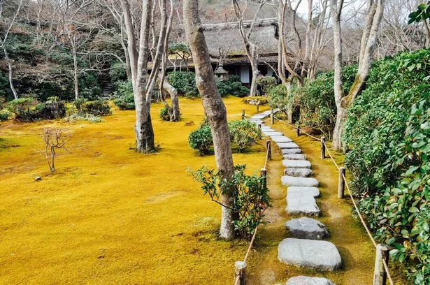 schoner-japanischer-garten-96_12-5 Schöner japanischer Garten