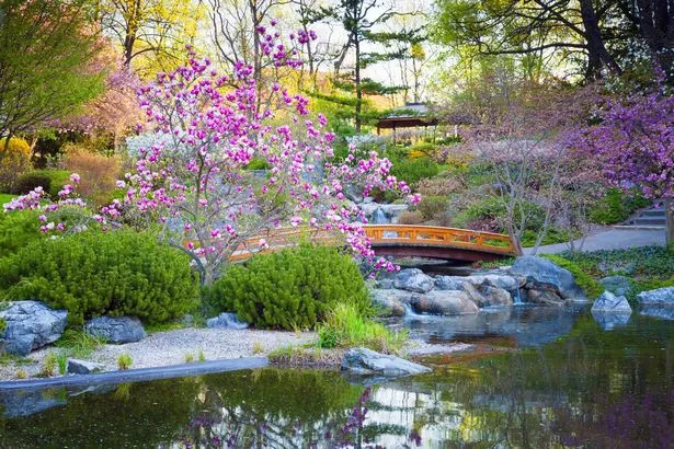 schoner-japanischer-garten-96_18-11 Schöner japanischer Garten