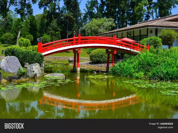 traditionelle-japanische-brucke-72_5-10 Traditionelle japanische Brücke