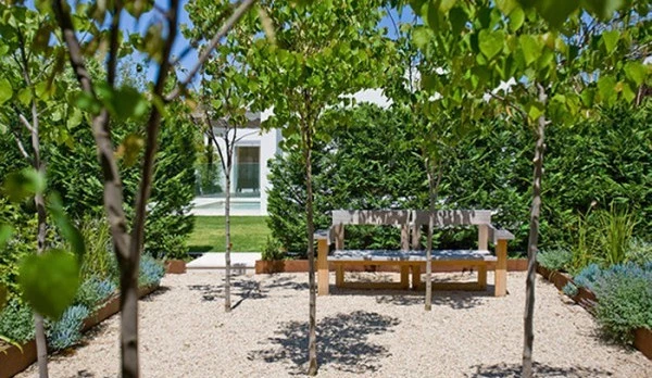 zeitgenossische-baume-fur-garten-25_19-11 Zeitgenössische Bäume für Gärten