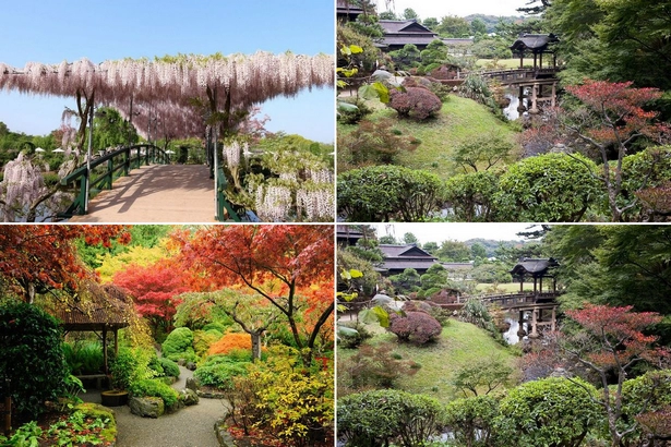 bilder-japanische-garten-001 Bilder japanische Gärten