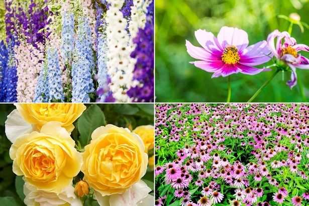 englische-garten-blumen-001 Englische Gärten Blumen