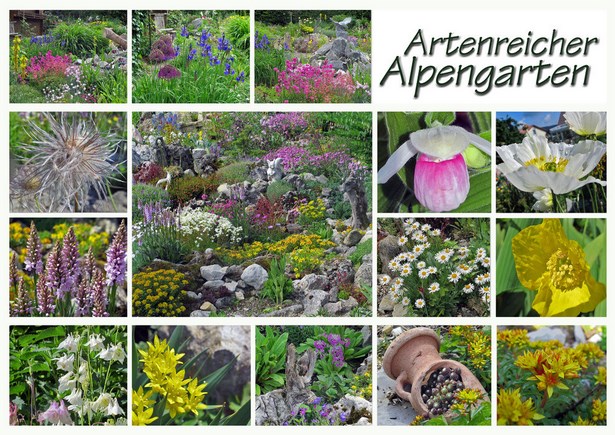 alpengarten-anlegen-00_14 Alpengarten anlegen
