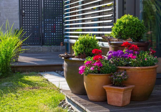 terrassengestaltung-mit-kubelpflanzen-74 Terrassengestaltung mit kübelpflanzen