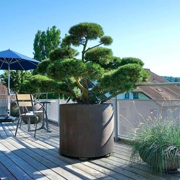 terrassengestaltung-mit-pflanzen-41_10 Terrassengestaltung mit pflanzen
