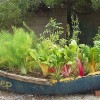 Garten Ideen Gemüse