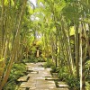 Hawaiianische Landschaftsbau-Ideen