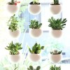 Kleine Pflanzer-Ideen