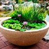 Kleine Wassergarten-Ideen
