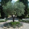 Italienische Gartengestaltung