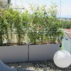 Sichtschutz pflanzen balkon