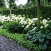 Gärten in holland