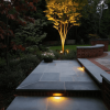 Outdoor lighting ideas for trees