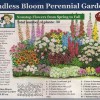 Flower garden layout ideas