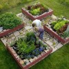 Vegetable garden ideas designs raised gardens