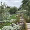 Native australian garden design ideas