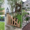 Ideas for landscaping backyard on a budget