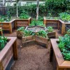 Ideas for raised vegetable gardens