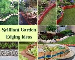 Ideas for garden edges