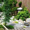 Japanese garden ideas plants