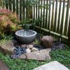Japanese garden planting ideas