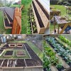 Small vegetable garden layout ideas