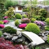 Japanese style landscaping ideas