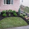 Southern front yard landscaping ideas