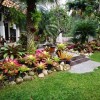 Tropical gardening ideas