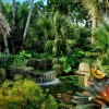 Tropical landscape ideas small yards
