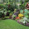 Tropical landscaping ideas for small yards