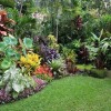Tropical garden ideas pictures