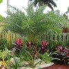 Front yard landscaping ideas south florida
