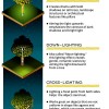 Baumlandschaftsbeleuchtung