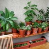 Gärten für kleine Räume