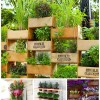 Beste Garten-Ideen