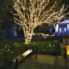 Outdoor Baum-Beleuchtung-Ideen