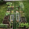 Veggie-Garten-Ideen