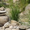 Gartengestaltung mit gräsern und steinen